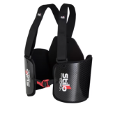 Protège côtes Stilo Carbon Curva FIA