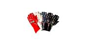 Gants GT2i Pro 02